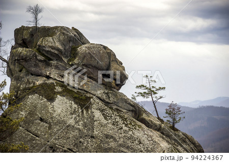 big stone head in the rocks of Dovbush in Ukrainian Carpathian 94224367