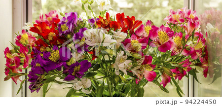a large bouquet of multi-coloured alstroemerias a large bouquet of multi-coloured alstroemerias 94224450