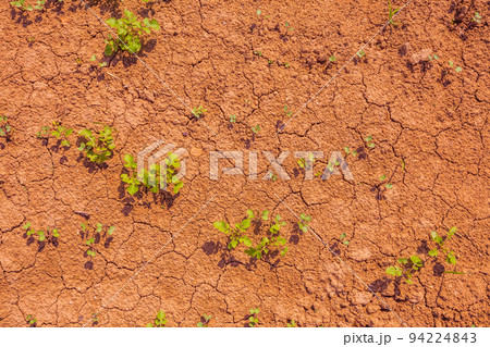 Cracked earth, metaphoric for climate change and global warming Cracked earth, metaphoric for climate change and global warming 94224843