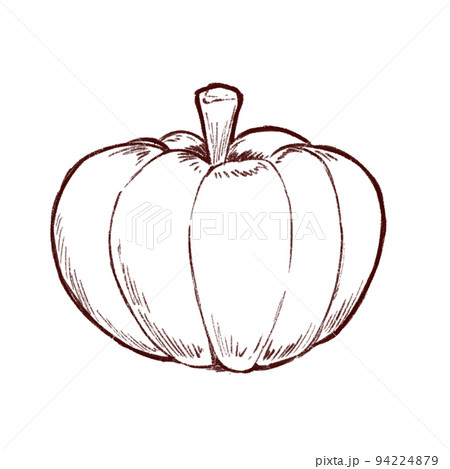 カボチャのイラストの線画 背景透過済み のイラスト素材