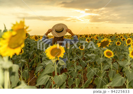 Beautiful middle aged woman looks good in a hat enjoying nature in a field of sunflowers at sunset. Summer. Attractive brunette with long healthy hair. 94225633