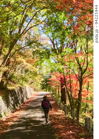 紅葉の山を歩く 94225944