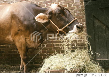 Cochiti - Tent Rocks 94232195