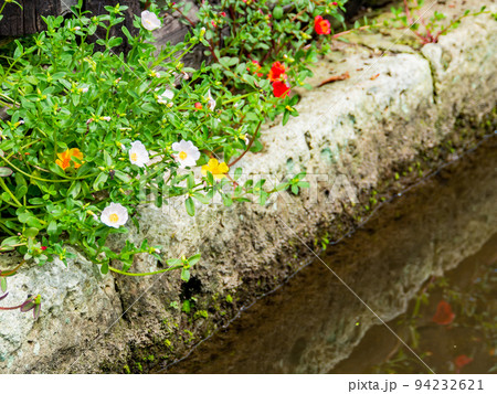 栃木県の城下町 喜連川の秋の景色 情緒豊かな御用堀 栃木県の城下町 喜連川の秋の景色 情緒豊かな御用堀 94232621