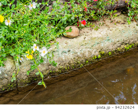栃木県の城下町 喜連川の秋の景色 情緒豊かな御用堀 栃木県の城下町 喜連川の秋の景色 情緒豊かな御用堀 94232624