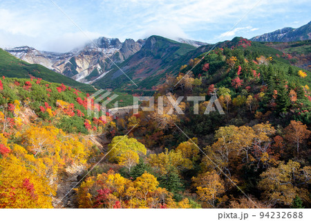 カラフルに色づいた秋の高山の林 94232688