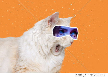 Meow loudly. Big white cat with human eyes expressive different emotion isolated over orange background. Animals with human facial expression 94233585