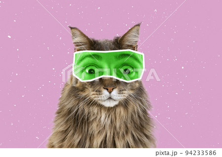 Shock. Creative portrait of cute cat with human eyes expressive different emotion isolated over pink background. Animals with human facial expression 94233586