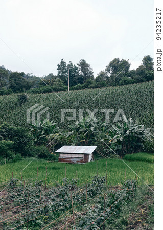 cottage on mountain in a rainy day 94235217