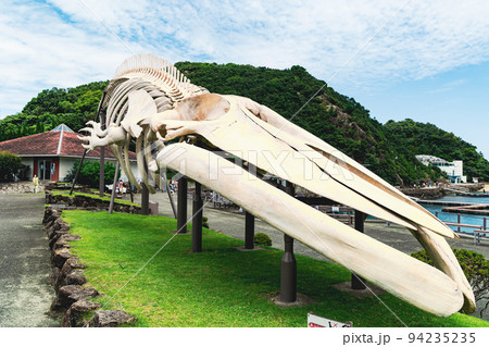 和歌山　くじらの博物館　シンボルの鯨の骨 94235235