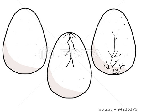 卵とひびの入った卵のイラスト 卵とひびの入った卵のイラスト 94236375