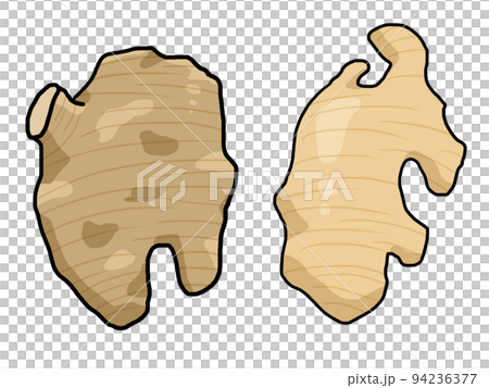 Ginger illustration Ginger illustration 94236377