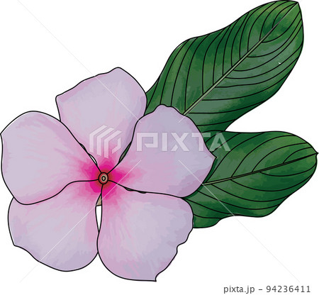 Periwinkle PNG Transparent Images Free Download  Vector Files  Pngtree