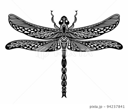 Vector dragonfly on white background. Insect symbol 94237841