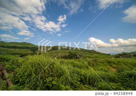 爽やかな青空の初夏の平尾台【福岡県北九州市】 爽やかな青空の初夏の平尾台【福岡県北九州市】 94238949