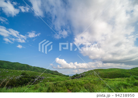 爽やかな青空の初夏の平尾台【福岡県北九州市】 94238950