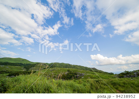 爽やかな青空の初夏の平尾台【福岡県北九州市】 94238952