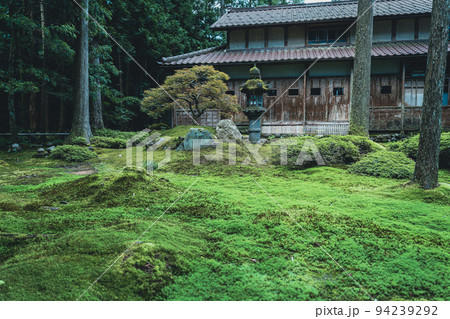 日本の苔の庭 94239292