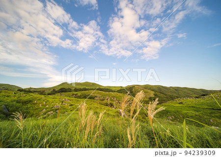 爽やかな青空と初秋の平尾台【福岡県北九州市】 94239309