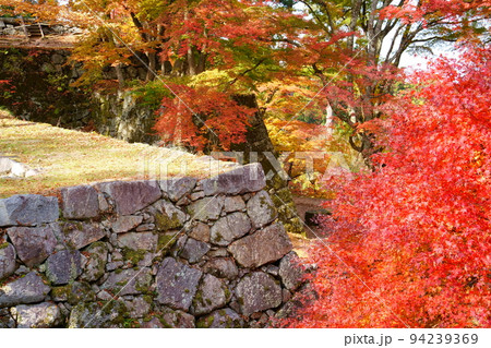 高取城跡の秋／紅葉（奈良県高市郡高取町） 94239369