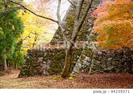 高取城跡の秋／紅葉（奈良県高市郡高取町） 94239371
