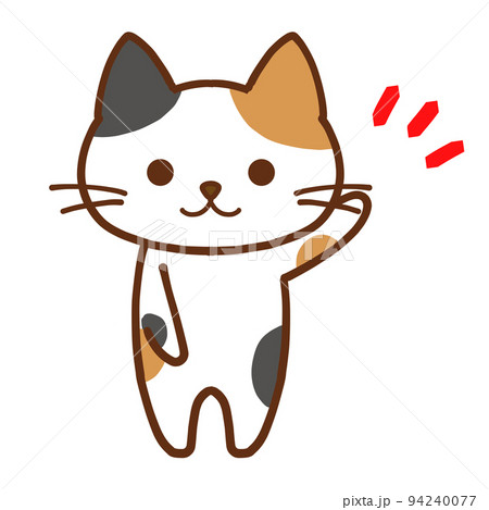 ワンポイントを伝える丸目のかわいい三毛猫 94240077