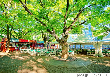 さっぽろオータムフェスト会場 (北海道札幌市 大通公園) さっぽろオータムフェスト会場 (北海道札幌市 大通公園) 94241894