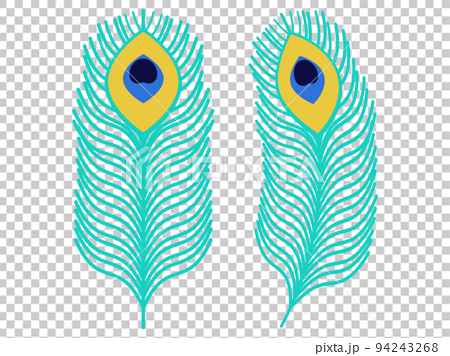 Illustration Peacock feather