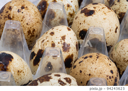 quail eggs in a tray close-up 94243623