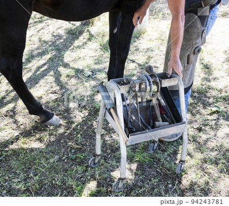 Farrier works in a field 94243781