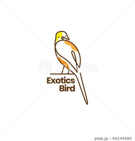 exotics bird logo design vector 94244080