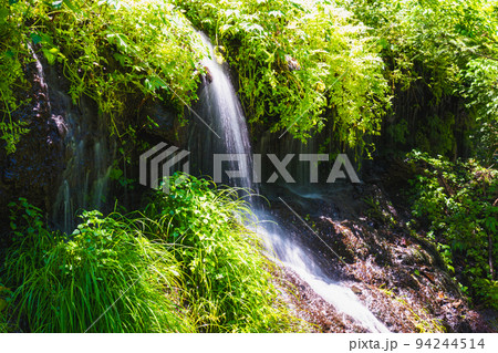 太郎次郎滝の新緑風景2022 94244514