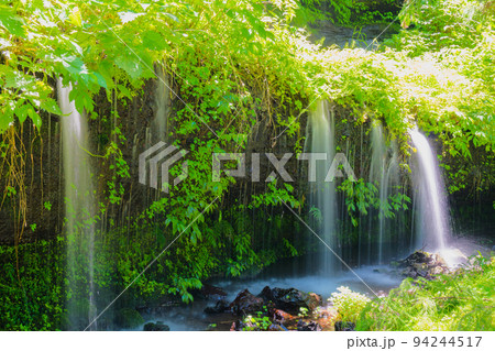 太郎次郎滝の新緑風景2022 太郎次郎滝の新緑風景2022 94244517