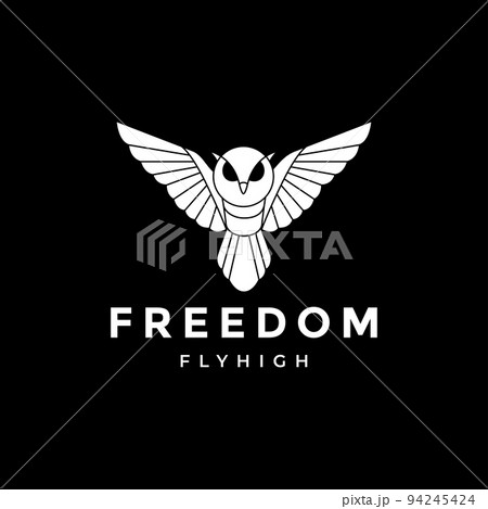white owl in dark modern logo design 94245424
