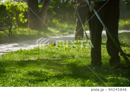 grass maintenance in the park. cutting weeds on a sunny day. professional lawn care service grass maintenance in the park. cutting weeds on a sunny day. professional lawn care service 94245846