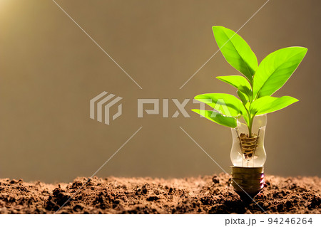 Natural energy concept. Light bulb with clean nature symbol inside, Tree, little plant 94246264