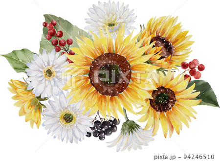 水彩画 ヒマワリ 図 94246510