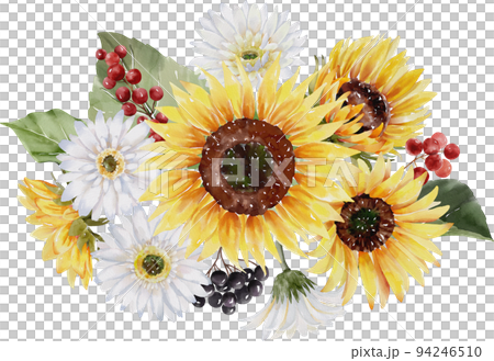 水彩向日葵 水彩向日葵 94246510