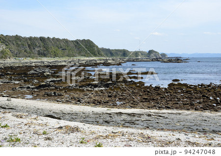 春の大潮 潮が引いた磯 春の大潮 潮が引いた磯 94247048