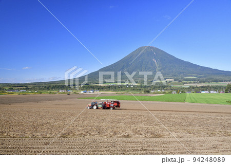 初秋の北海道京極町でジャガイモの収穫作業と羊蹄山の風景を撮影 94248089