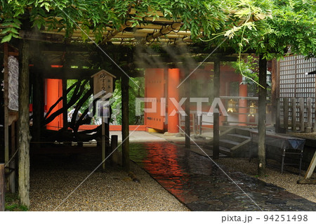 春日神社砂ずりの藤 94251498