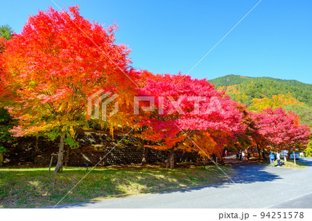 箕輪町・もみじ湖の紅葉 94251578