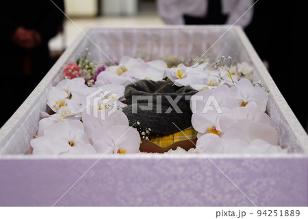 胡蝶蘭でいっぱいのお棺 94251889