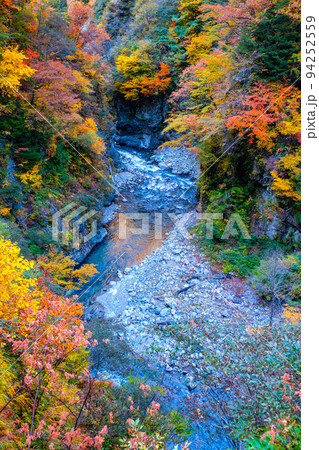 黒部峡谷(秋) 黒部峡谷(秋) 94252559
