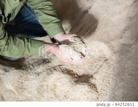 Male hands holding handful of corn germ meal Male hands holding handful of corn germ meal 94252611
