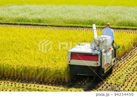 稲刈り 94254450