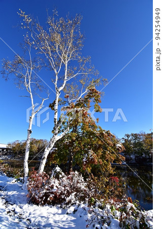 突然の降雪に見舞われた紅葉の志賀高原 蓮池の写真素材 [94254949] - PIXTA