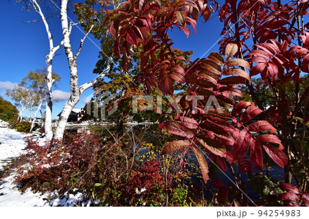 突然の降雪に見舞われた紅葉の志賀高原 蓮池 突然の降雪に見舞われた紅葉の志賀高原 蓮池 94254983