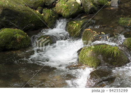 栃木県 那須 乙女の滝周辺の渓流の流れ 94255299