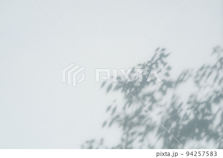 モルタル仕上げのコンクリート壁の右下に映る枝葉の影 寒色 ソフト モルタル仕上げのコンクリート壁の右下に映る枝葉の影 寒色 ソフト 94257583